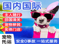 吉安井冈山空运国际宠物托运 【国